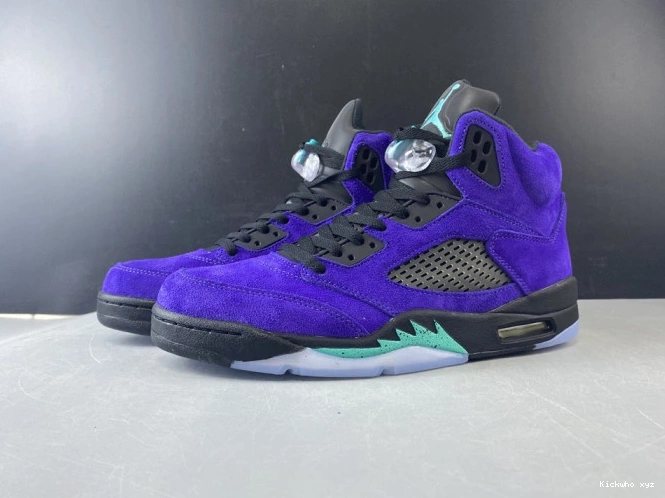 Alternate 5 Jordan Air Grape Retro 136027-500 0718
